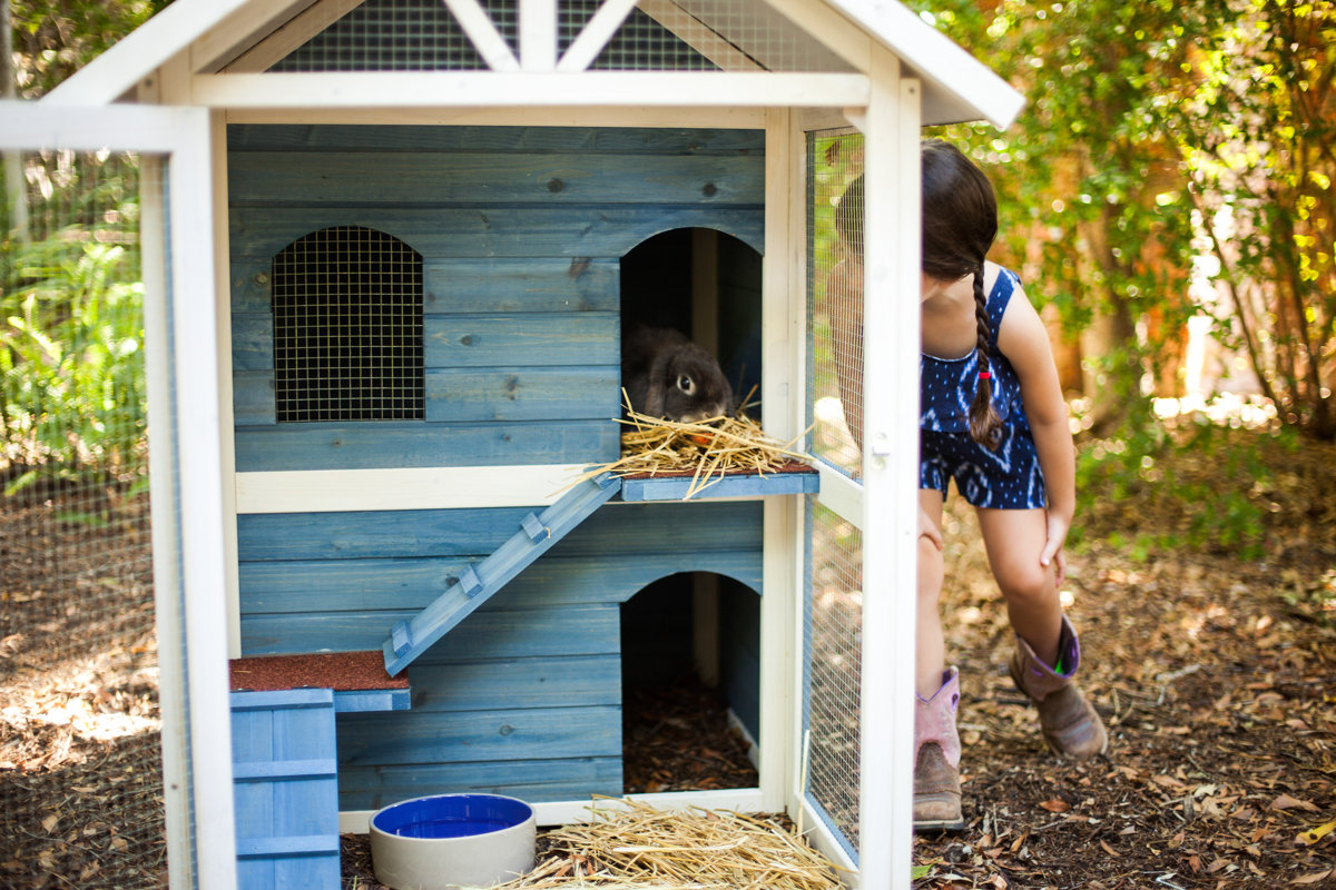 Advantek The Row House Rabbit Hutch & Reviews Wayfair